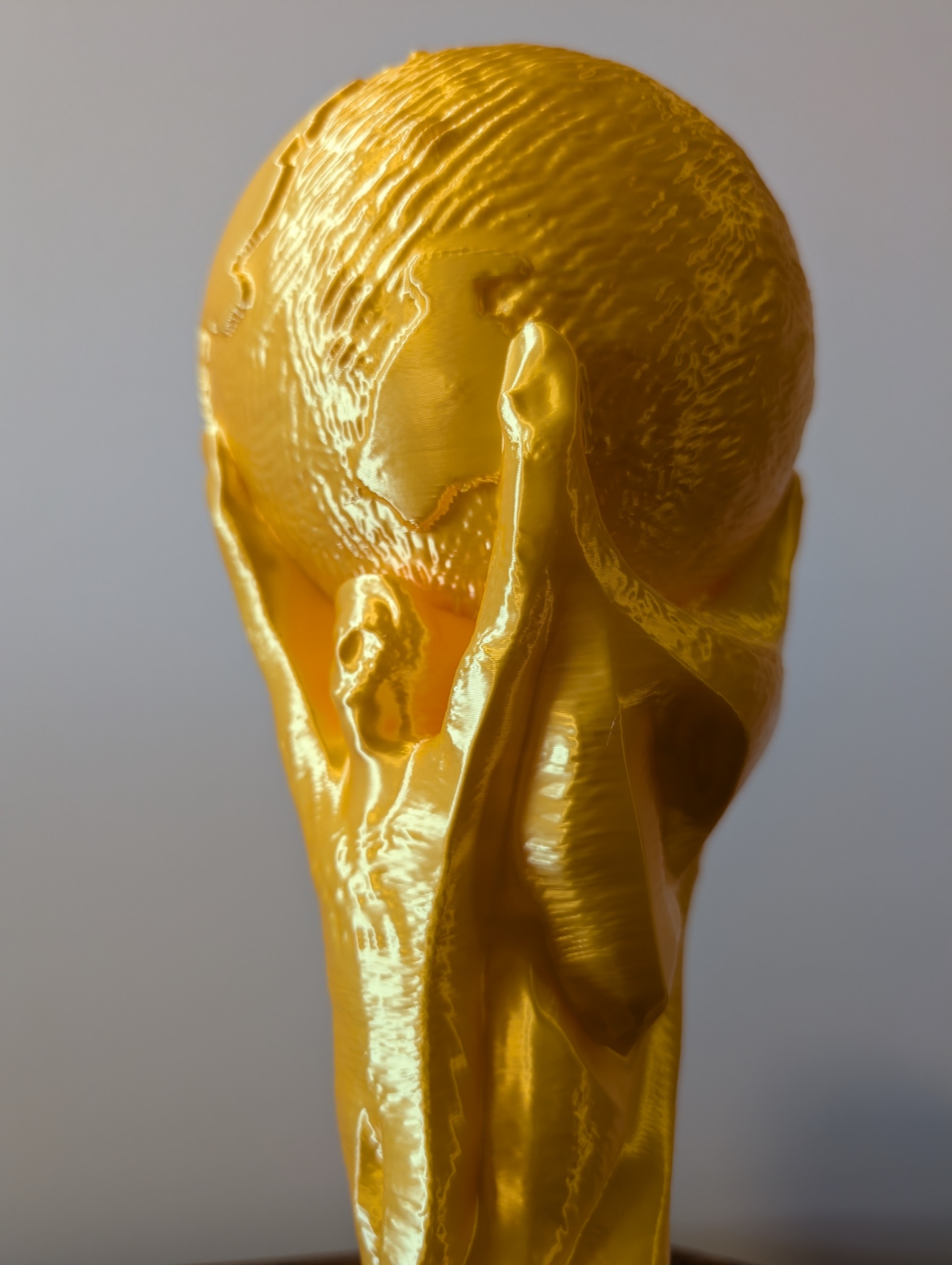 Copa del Mundial (25 cm)